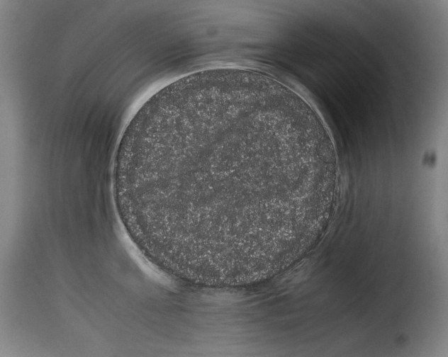 X0000114190811200911200935