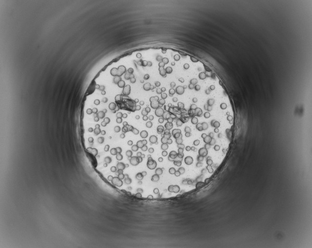 X0000114190812200911200935