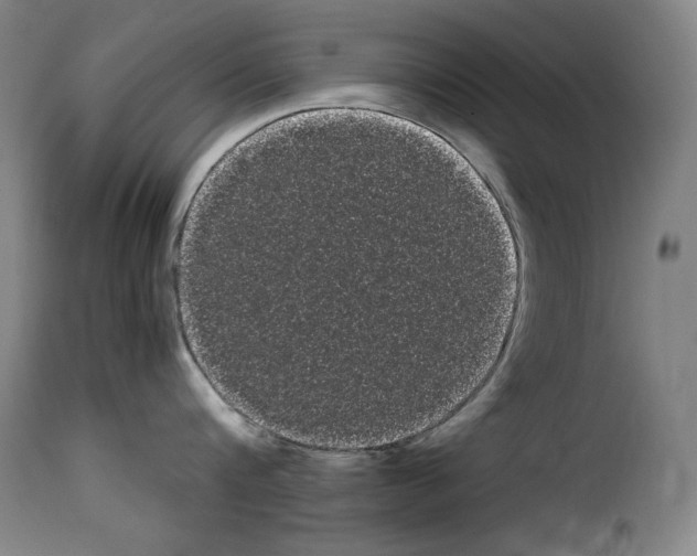 X0000114190816200911200935