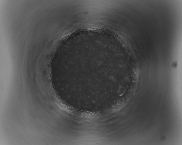 X0000114190817200911200934