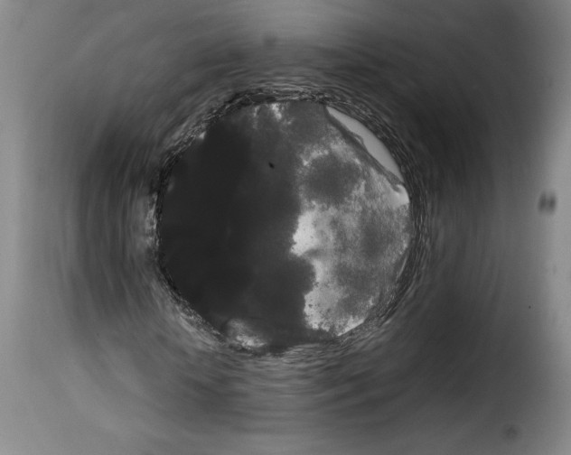 X0000114190818200911200934