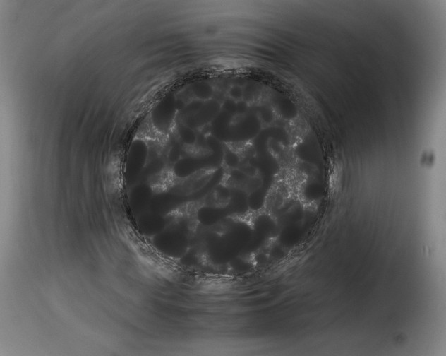 X0000114190819200911200934
