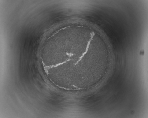 X0000114190820200911200934