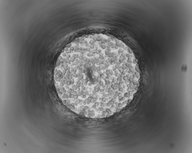 X0000114190821200911200934
