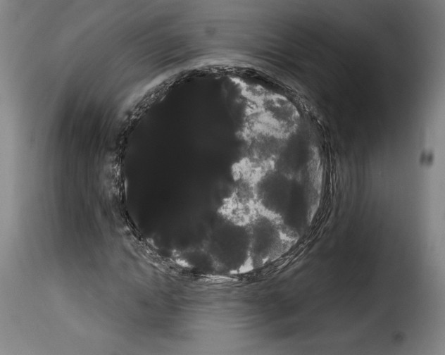 X0000114190822200911200934