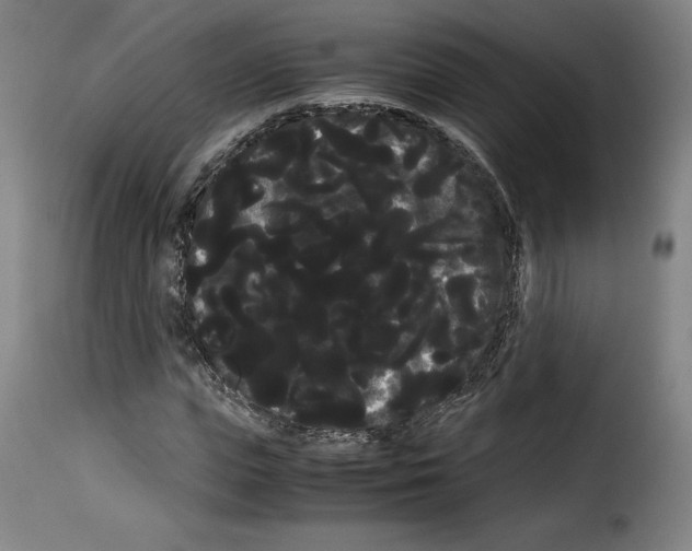 X0000114190823200911200934