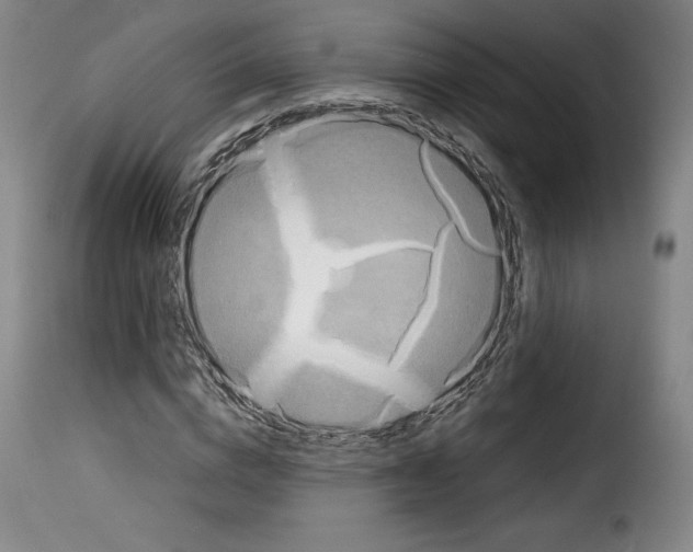 X0000114190824200911200934