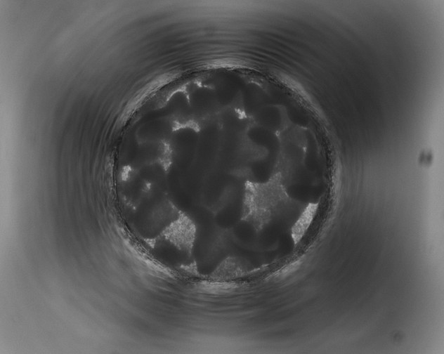 X0000114190825200911200934