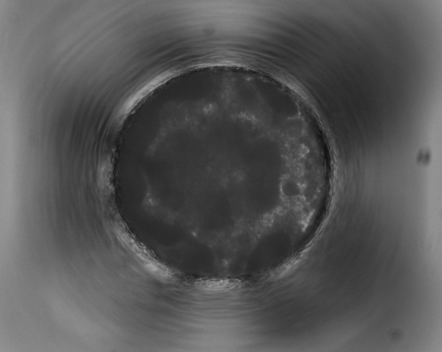 X0000114190826200911200934
