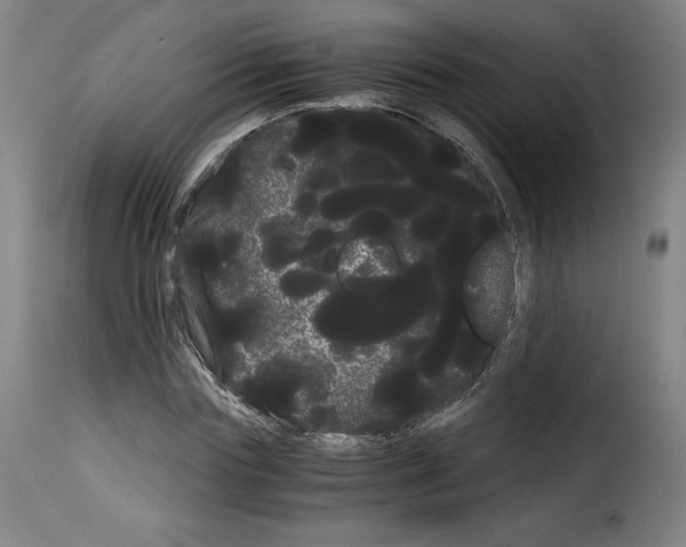 X0000114190827200911200934