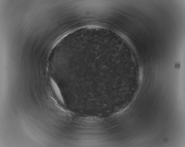 X0000114190829200911200934