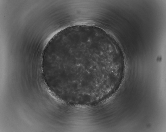 X0000114190830200911200934