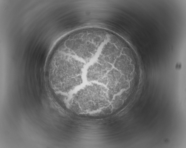 X0000114190832200911200934