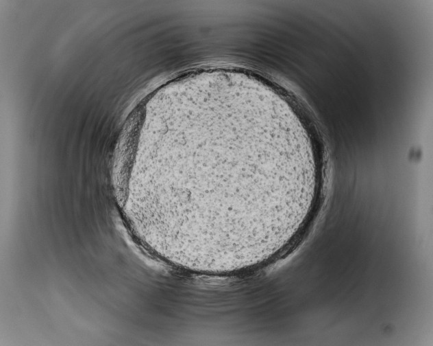 X0000114190833200911200934