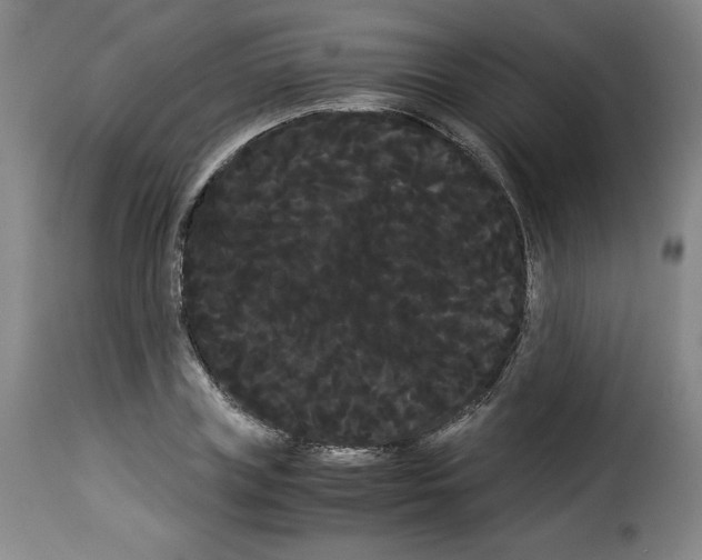 X0000114190835200911200934