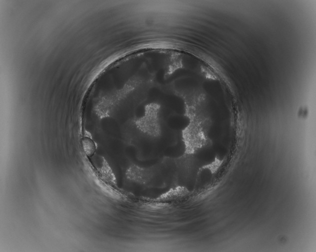 X0000114190837200911200934