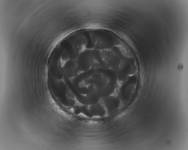 X0000114190839200911200934