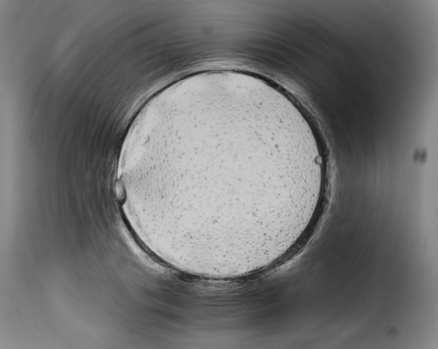 X0000114190841200911200934