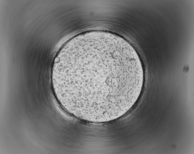 X0000114190842200911200934