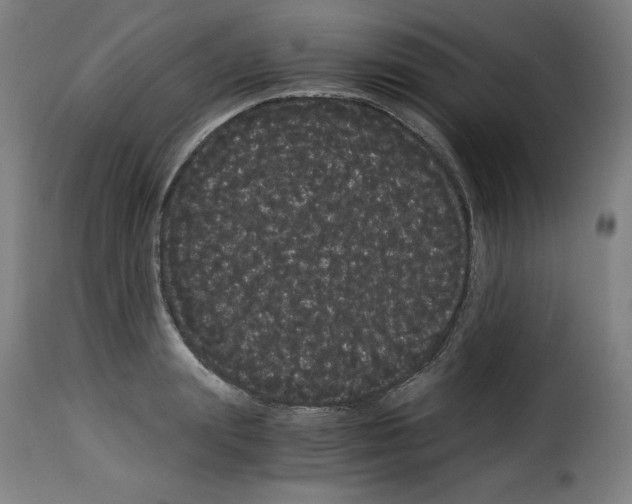 X0000114190847200911200934