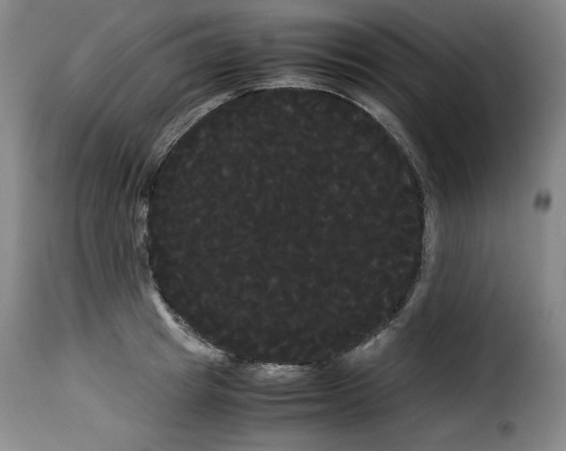 X0000114190849200911200935