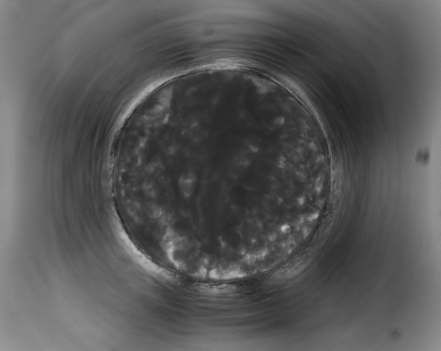 X0000114190851200911200935