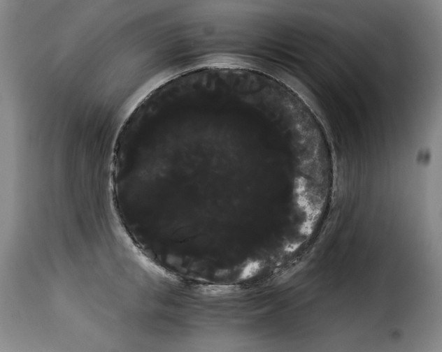 X0000114190853200911200935
