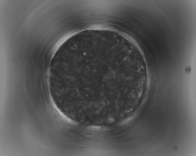 X0000114190855200911200935