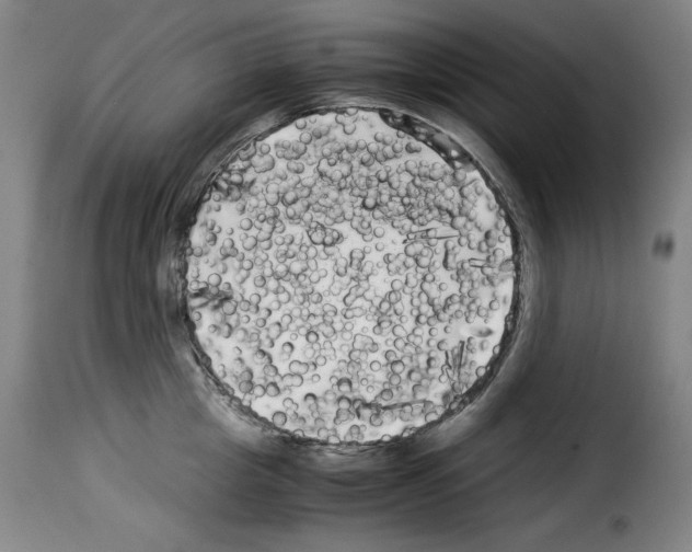 X0000114190857200911200935