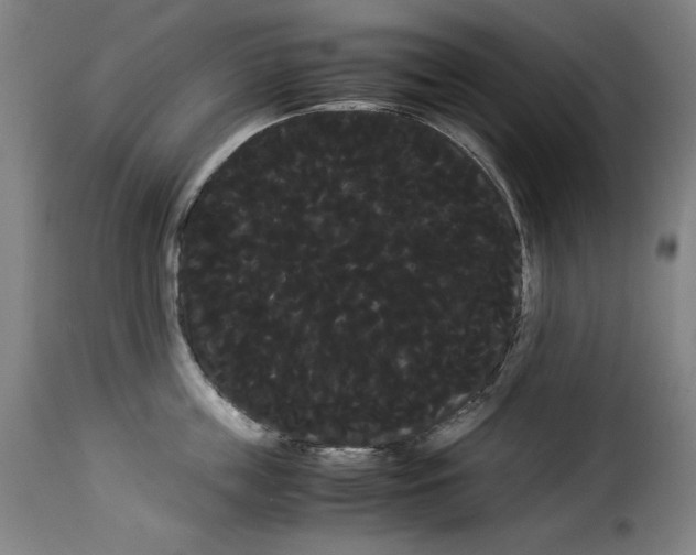 X0000114190859200911200935
