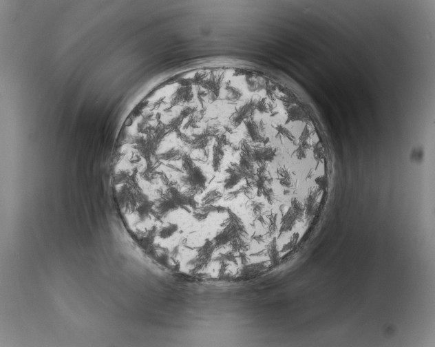 X0000114190860200911200935