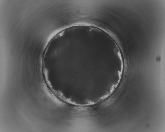 X0000114190862200911200935