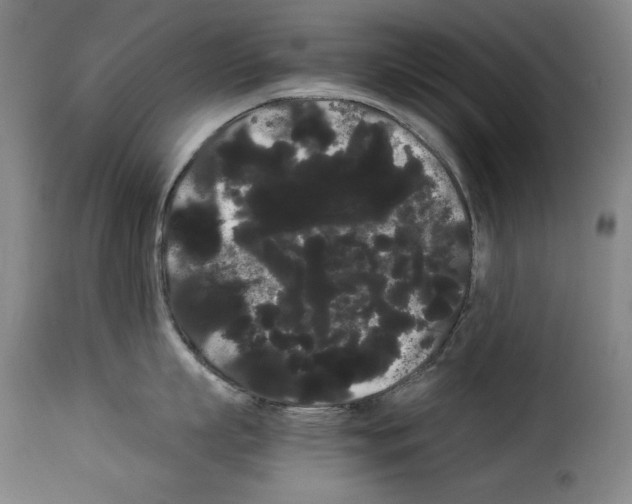 X0000114190863200911200935