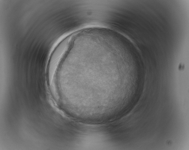 X0000114190864200911200935