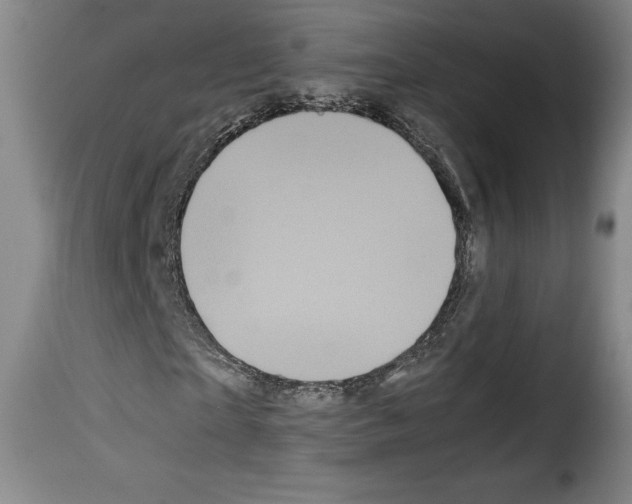 X0000114190865200911200934