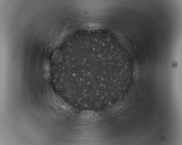 X0000114190866200911200934
