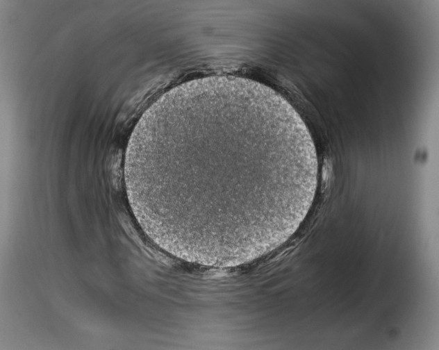 X0000114190867200911200934