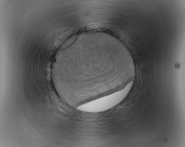 X0000114190868200911200934
