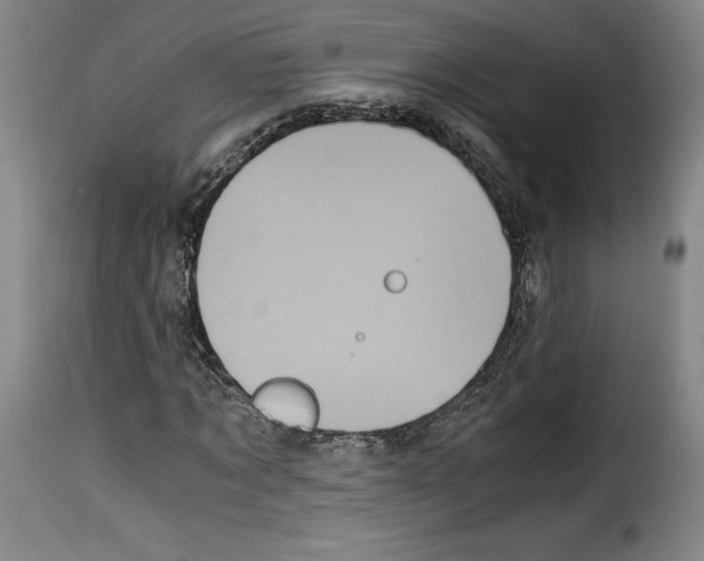 X0000114190869200911200934