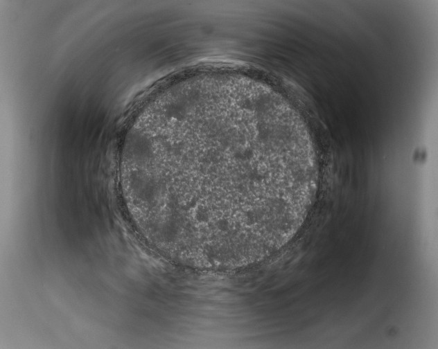 X0000114190870200911200934