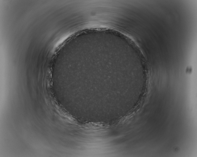 X0000114190871200911200934