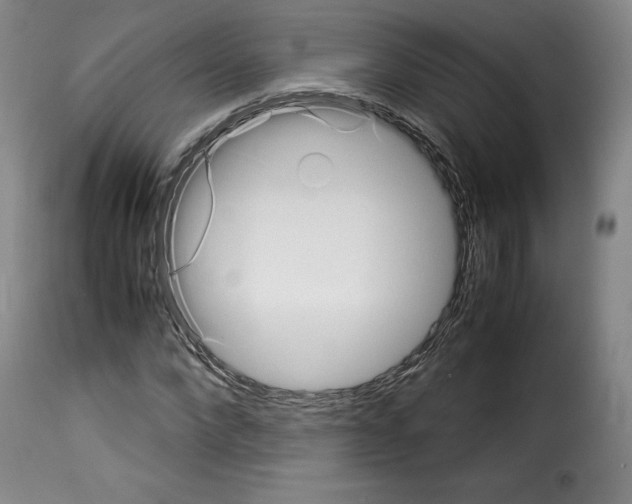 X0000114190872200911200934