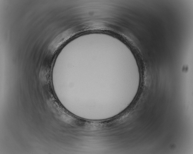 X0000114190873200911200934