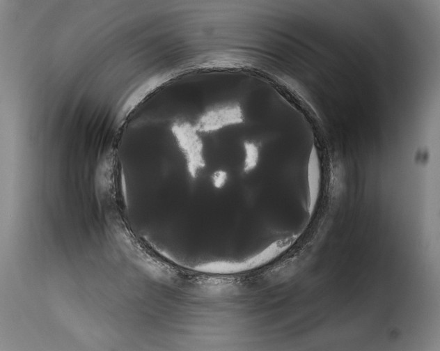 X0000114190874200911200934