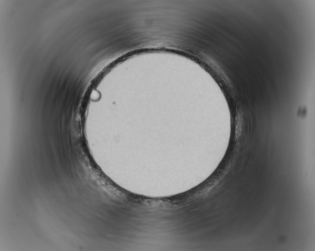 X0000114190876200911200934