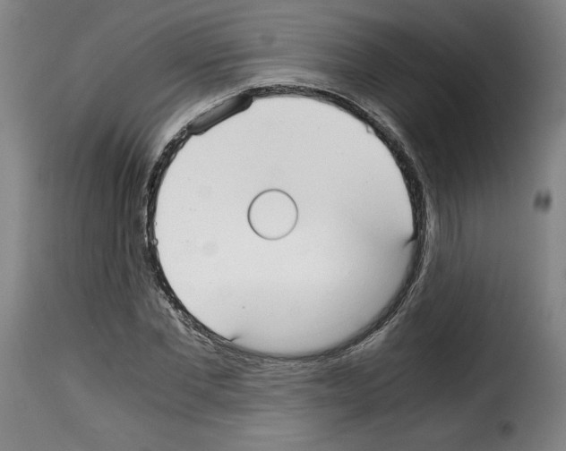 X0000114190877200911200934