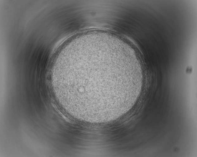 X0000114190878200911200934