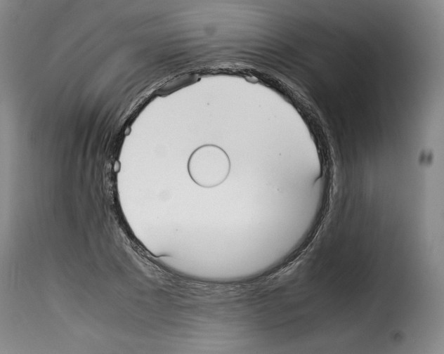 X0000114190881200911200934