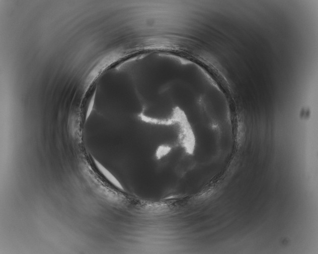 X0000114190882200911200934