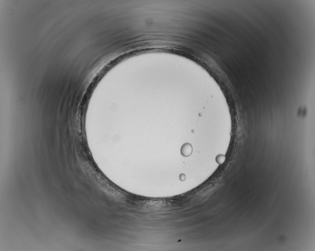 X0000114190883200911200934
